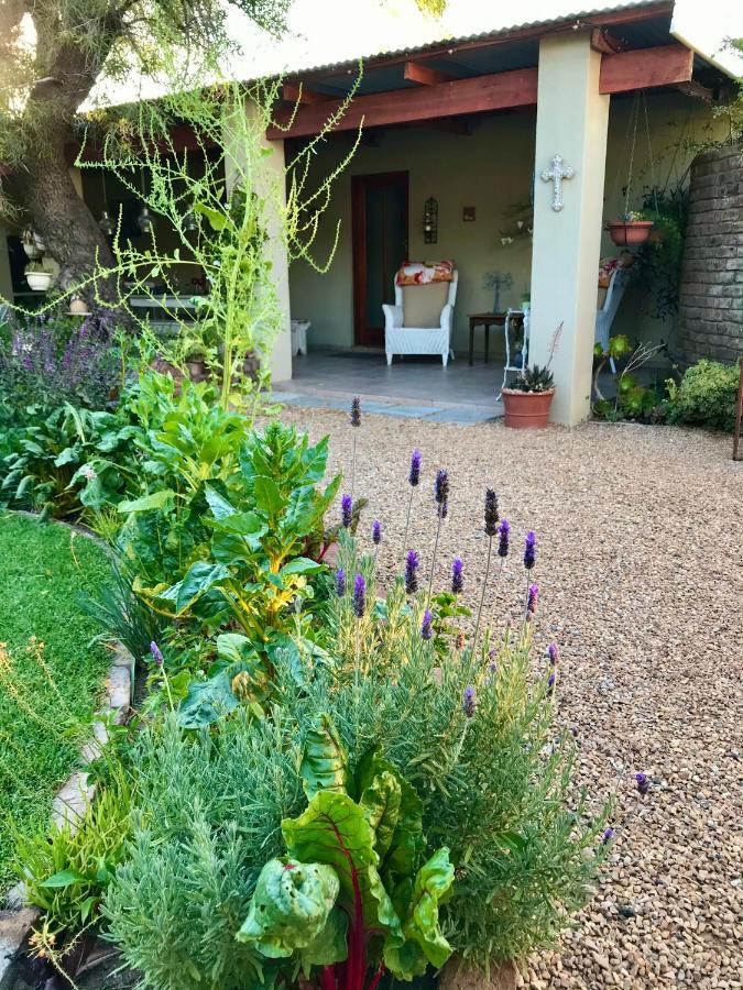 Pane Vivente Garden Cottage Beaufort West Exterior photo